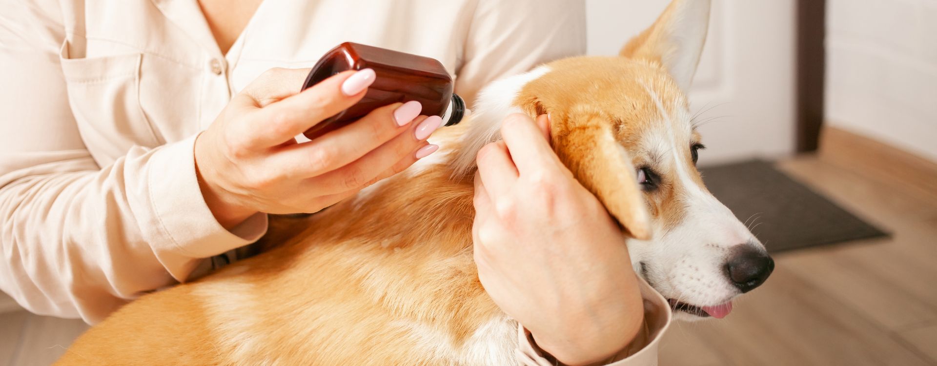 flea treatment