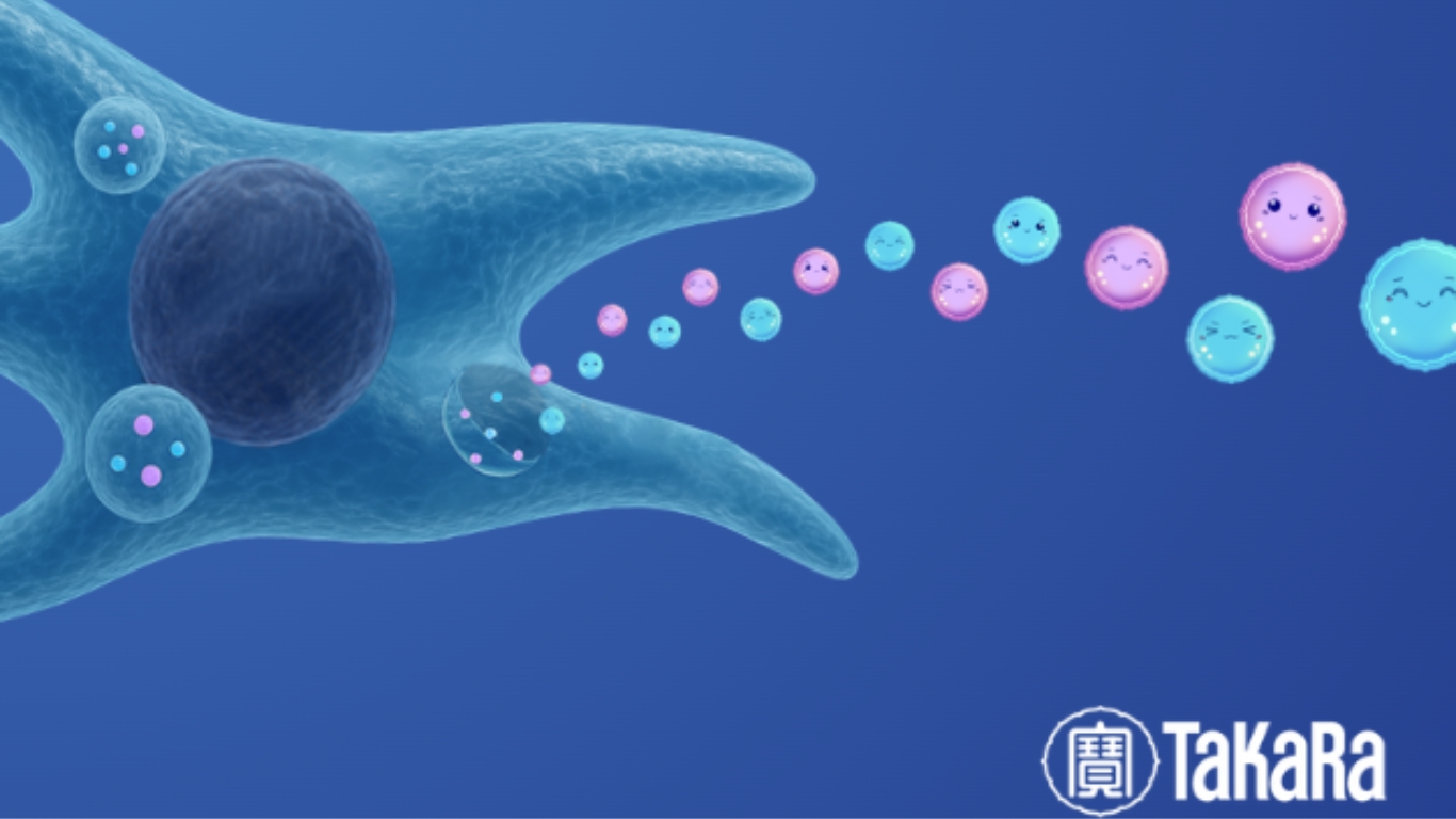 takara PR