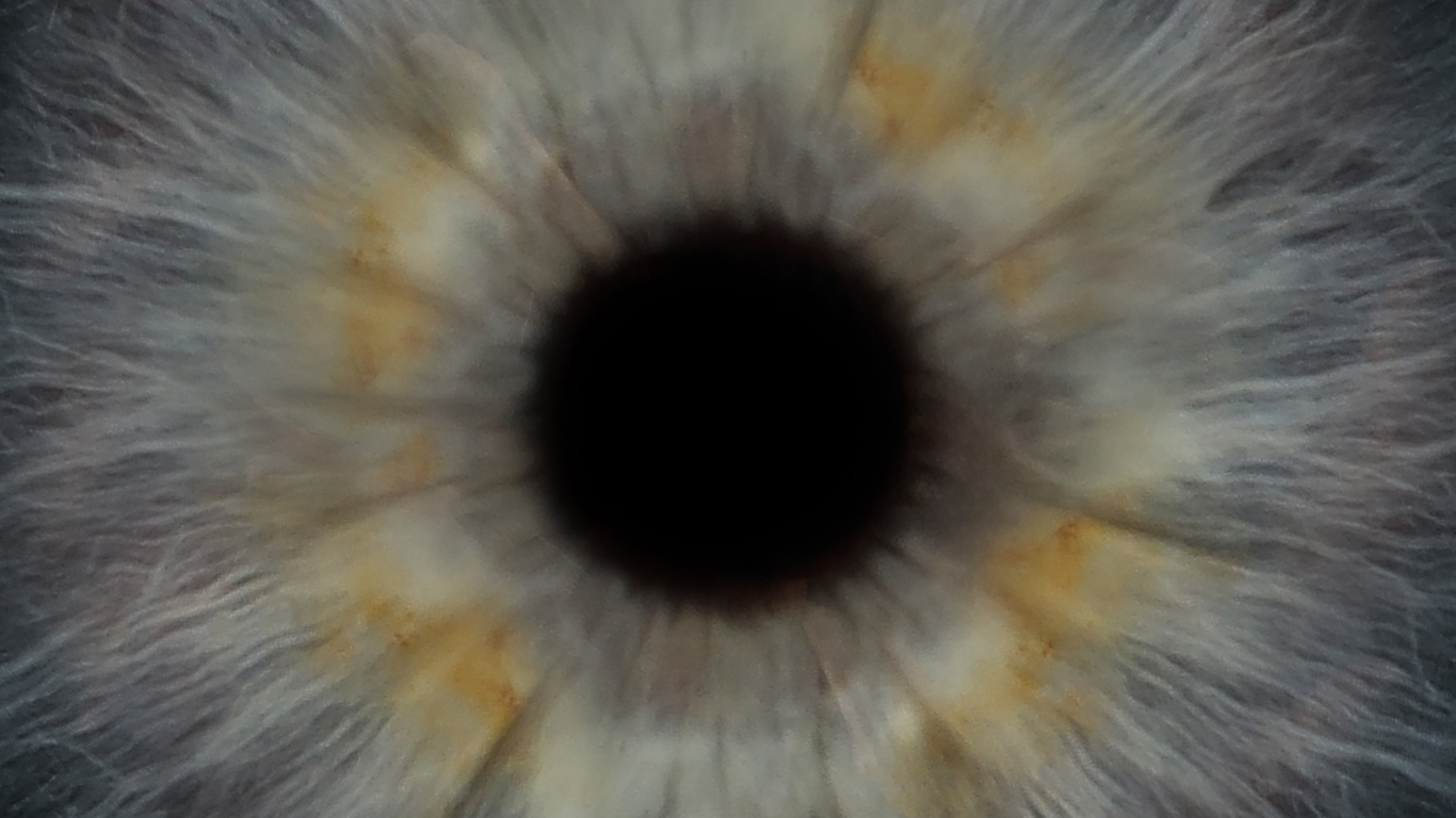 eye