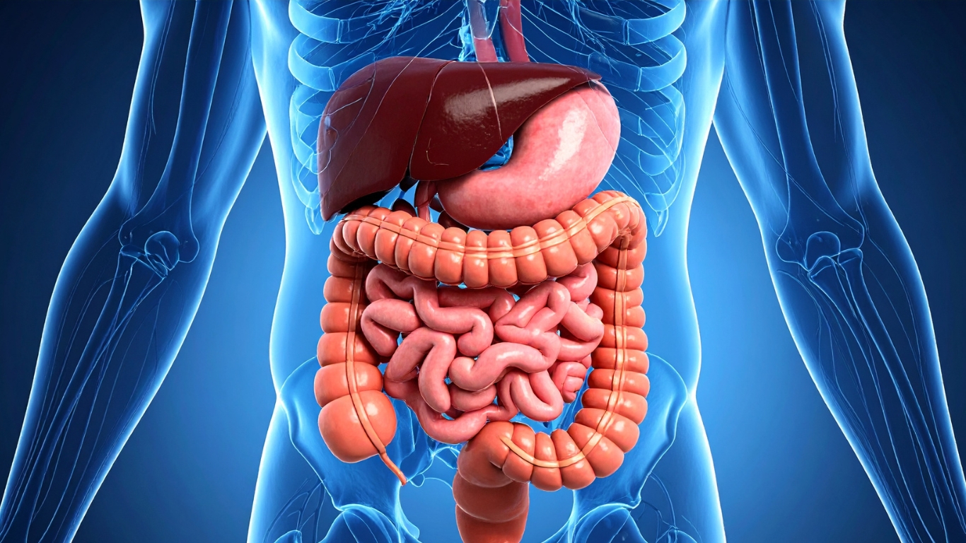 gastrointestinal