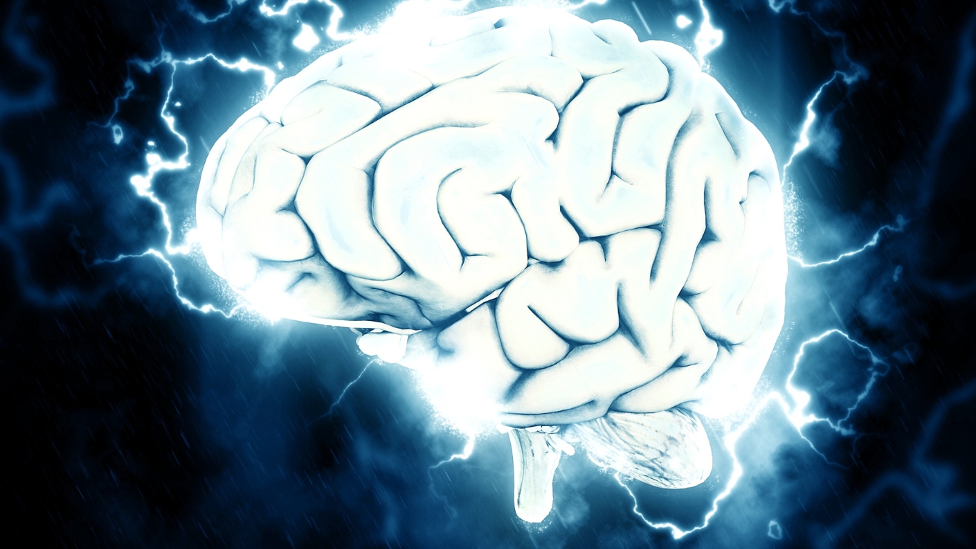 brain